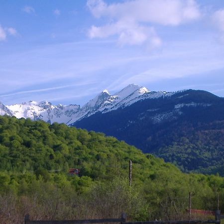 Pensiunea Arpasel Arpaşu de Sus Extérieur photo