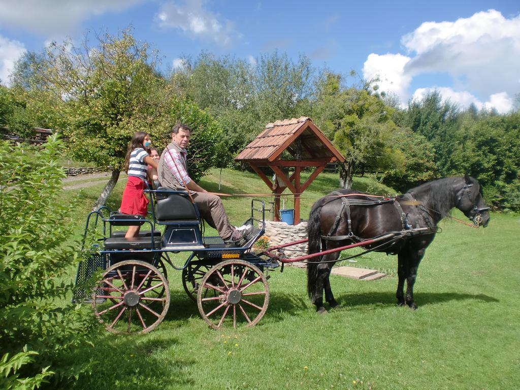 Pensiunea Arpasel Arpaşu de Sus Extérieur photo