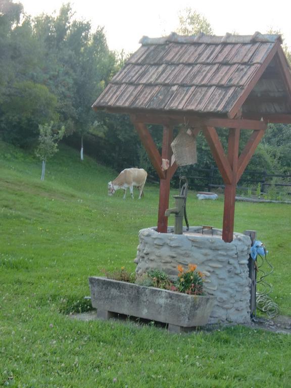 Pensiunea Arpasel Arpaşu de Sus Extérieur photo